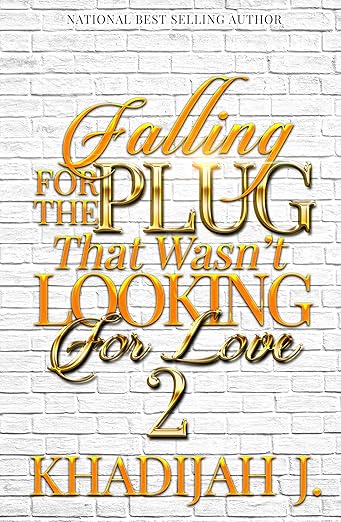 Falling For the Plug that Wasn't Looking for Love Bundle